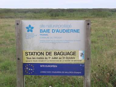 site naturel protégé
baie d'Audierne
Trunvel
Commune de Tréogat

Station de baguage
tous les matins du 1er juillet au 31 octobre
société pour l'étude et la protection de la nature en Bretagne

sité européen
jumelé avec s'albufera de mallorca (Espagne)